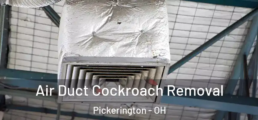  Air Duct Cockroach Removal Pickerington - OH