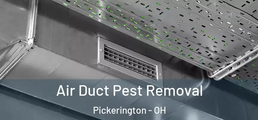  Air Duct Pest Removal Pickerington - OH