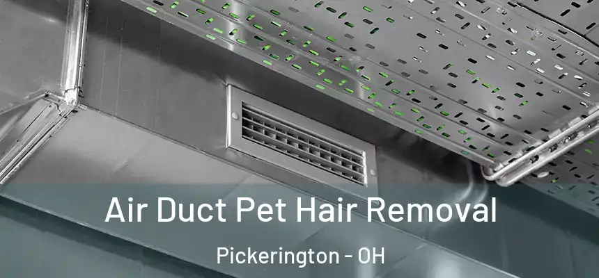 Air Duct Pet Hair Removal Pickerington - OH
