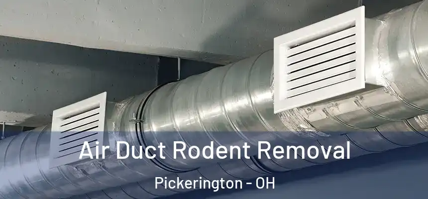 Air Duct Rodent Removal Pickerington - OH