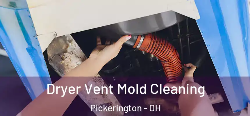 Dryer Vent Mold Cleaning Pickerington - OH
