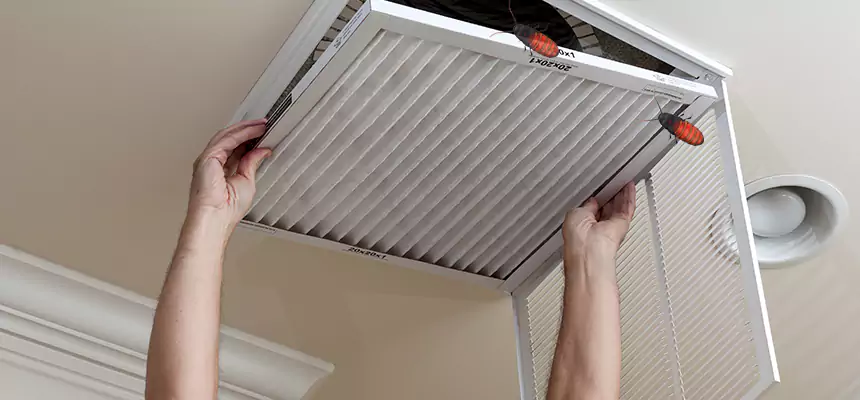 Our Insect Removal from Air Ducts Services in Pickerington, OH
