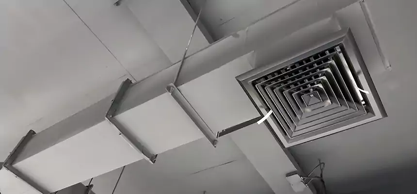 Our Rodent Droppings In Vents Services in Pickerington, OH