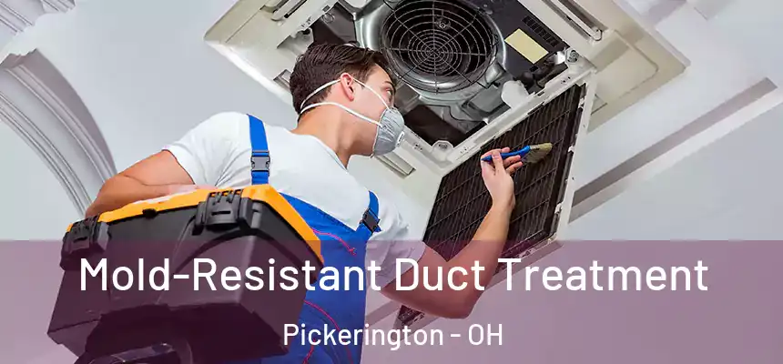  Mold-Resistant Duct Treatment Pickerington - OH