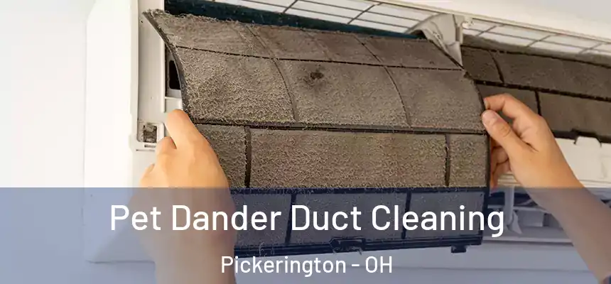 Pet Dander Duct Cleaning Pickerington - OH