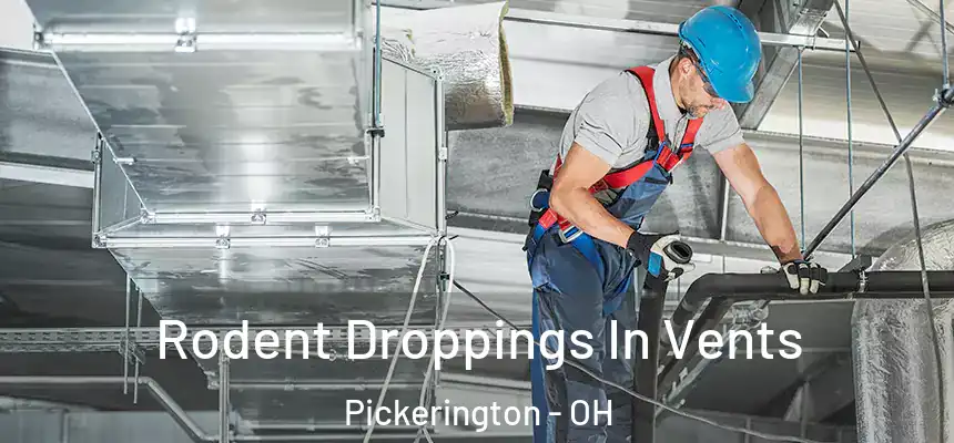 Rodent Droppings In Vents Pickerington - OH