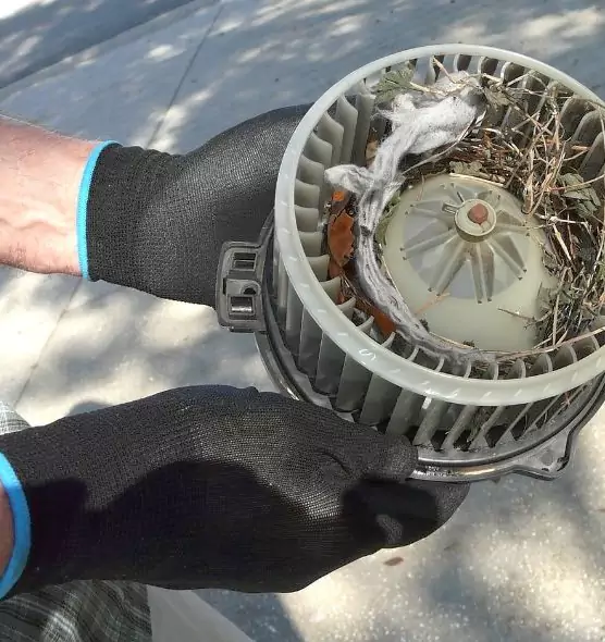 About Air Duct Mice Removal in Pickerington, OH