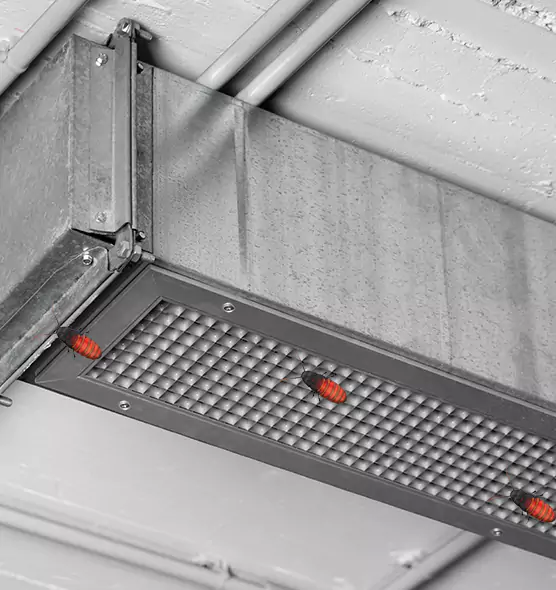 Affordable Insect Removal from Air Ducts in Pickerington, OH