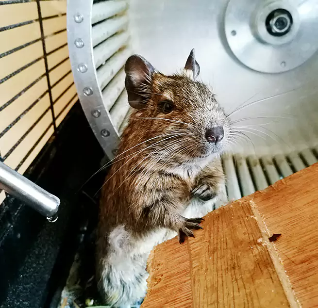 Why Homeowners & Businesses Trust Us Pickerington, OH